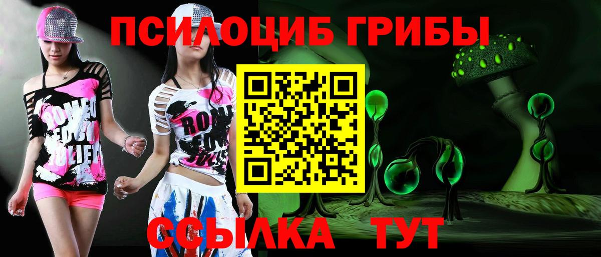 Галлюциногенные грибы Magic Shrooms  Галлюциногенные грибы Psilocybe  Вход с VPN  магазин продажи наркотиков  Кстово 